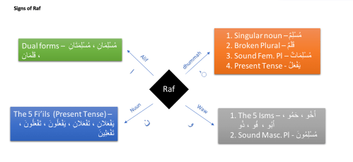 Screen Shot 2018-03-10 at 11.05.15 AM