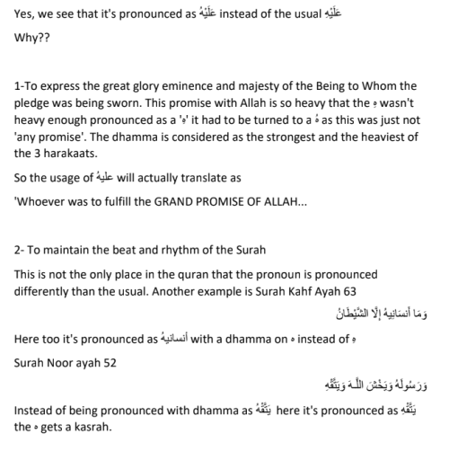 Screenshot 2018-08-14 12.22.09